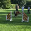 agility 2011-08